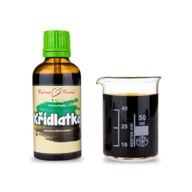 Japanische Buchweizentropfen (Tinktur) 50 ml