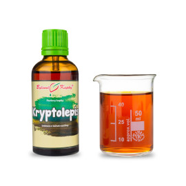 Cryptolepis Tinktur 50 ml