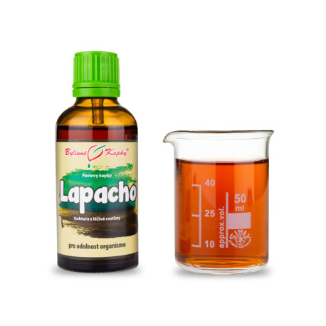 Lapacho Rote Tropfen (Tinktur) 50 ml