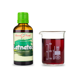 Latnatec Tropfen (Tinktur) 50 ml