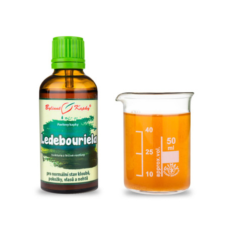 Ledebouriela Tropfen (Tinktur) 50 ml