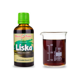 Haselnusstropfen (Tinktur) 50 ml