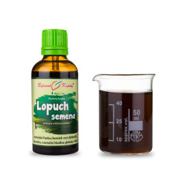 Klette größere Samen Tropfen (Tinktur) 50 ml