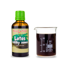 Lotussamen Sprossen Tropfen (Tinktur) 50 ml