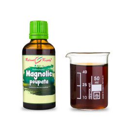 Magnolienknospen Tropfen (Tinktur) 50 ml