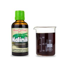 Brombeere Himbeere Tropfen (Tinktur) 50 ml