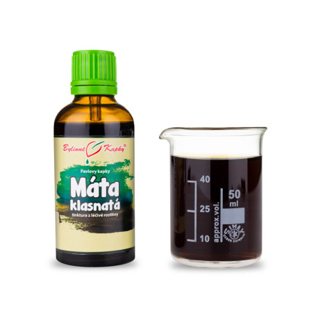 Grüne Minze Tropfen (Tinktur) 50 ml