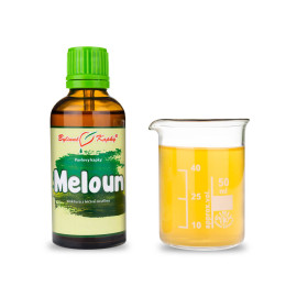 Wassermelone Wassertropfen (Tinktur) 50 ml