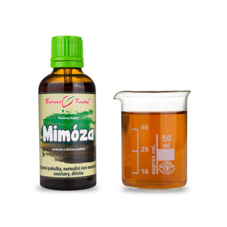 Mimosa Sensitive Tropfen (Tinktur) 50 ml