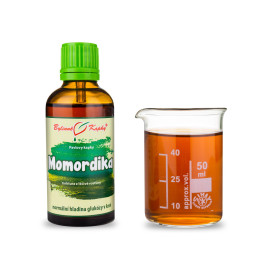 Momordika Bittertropfen (Tinktur) 50 ml