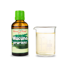 Mucuna pruriens Tropfen (Tinktur) 50 ml