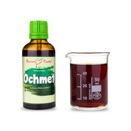Misteltropfen (Tinktur) 50 ml