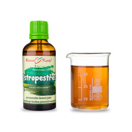 Mariendistel Tropfen (Tinktur) 50 ml