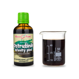 Brombeer-Fruchttropfen (Tinktur) 50 ml