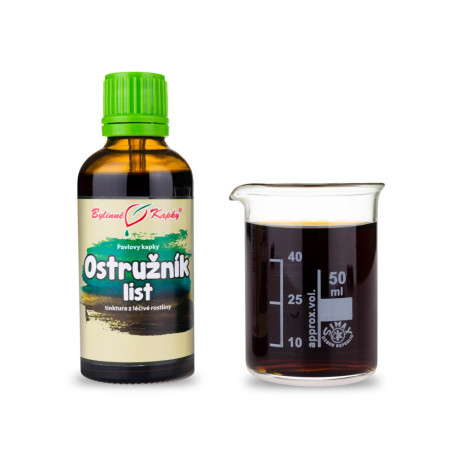 Brombeere Brombeerblatt Tropfen (Tinktur) 50 ml