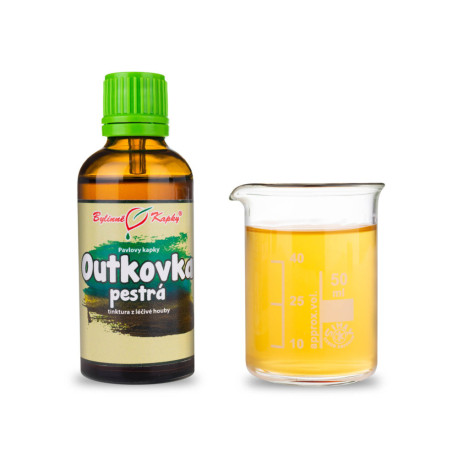Bunte Trúdník Tropfen (Tinktur) 50 ml