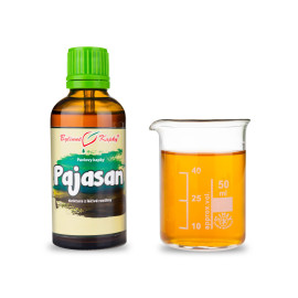 Aschetropfen (Tinktur) 50 ml