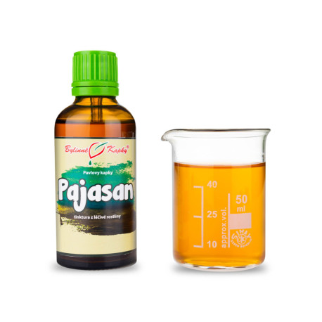 Aschetropfen (Tinktur) 50 ml
