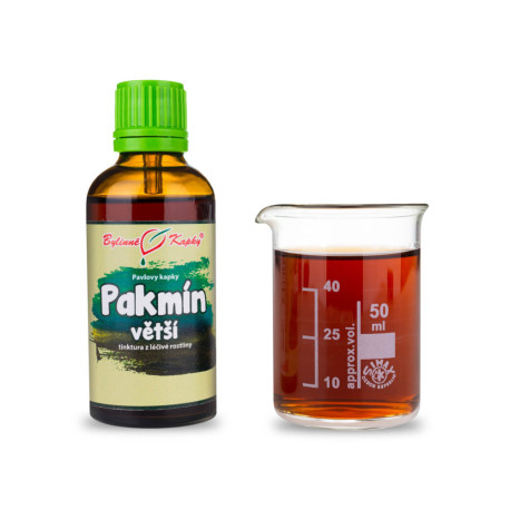 Parasca größere Tropfen (Tinktur) 50 ml