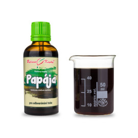 Melonen-Papaya (Tinktur) 50 ml