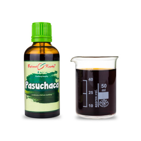 Pasuchaca Tropfen (Tinktur) 50 ml