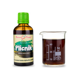 Lungenkraut Tropfen (Tinktur) 50 ml