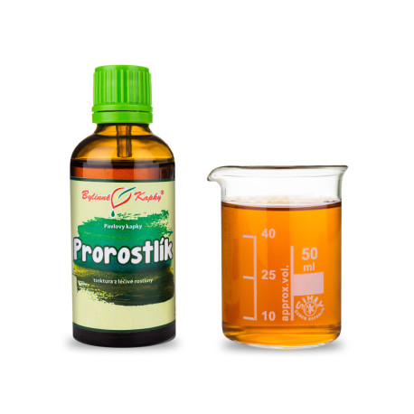 Chinesische Überwucherungstropfen (Tinktur) 50 ml