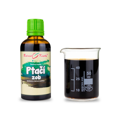 Vogel Liguster Tropfen (Tinktur) 50 ml