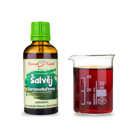 Rotwurzel-Salbeitropfen (Tinktur) 50 ml