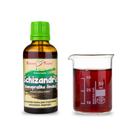 Schizandra Chinesische Tropfen (Tinktur) 50 ml