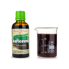 Chinesischer Zimtbaum (Tinktur) 50 ml