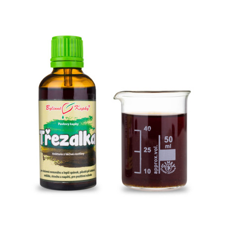 Johanniskraut Tropfen (Tinktur) 50 ml