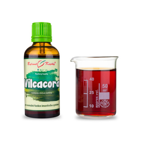 Vilcacora Tropfen (Tinktur) 50 ml