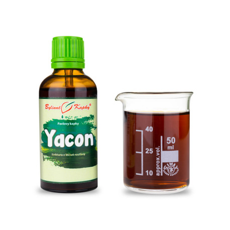 Yacon Tropfen (Tinktur) 50 ml