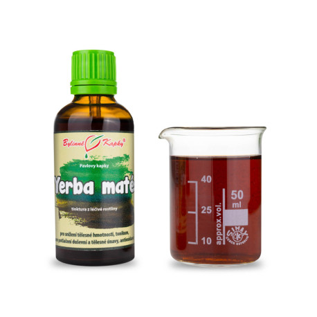 Paraguayische Stechpalmentropfen (Tinktur) 50 ml