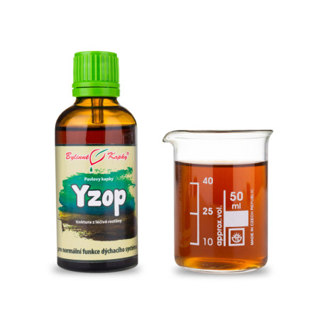 Ysop Tropfen (Tinktur) 50 ml