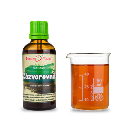 Ingwertropfen (Tinktur) 50 ml