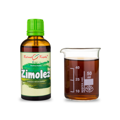 Japanische Geißblatttropfen (Tinktur) 50 ml