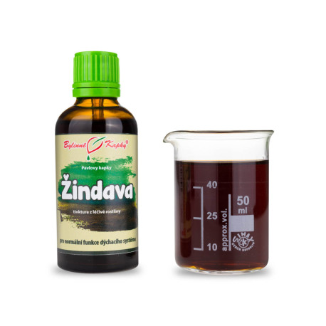 Žindava Europäische Tropfen (Tinktur) 50 ml