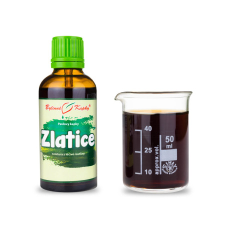 Goldrute überhängende Tropfen (Tinktur) 50 ml