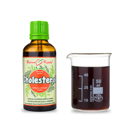 Cholesterin Tropfen (Tinktur) 50 ml