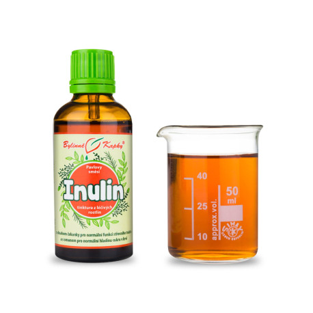 Inulin Tropfen (Tinktur) 50 ml