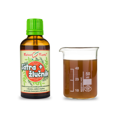 Leber- und Gallenblasentropfen (Tinktur) 50 ml