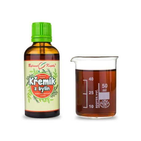 Silikontropfen (Tinktur) 50 ml