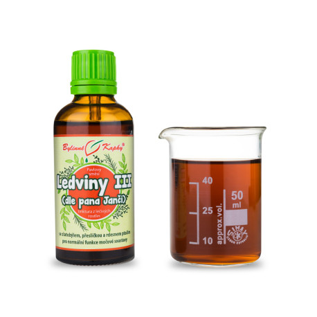Niere III Tropfen (Tinktur) 50 ml