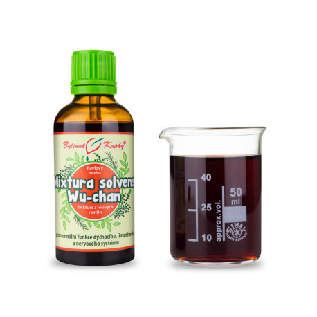 Solvens Wuhan Blend - Pauline Kräutertropfen (Tinktur) 50 ml