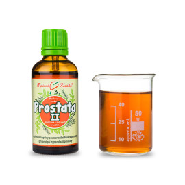 Prostata II Tropfen (Tinktur) 50 ml