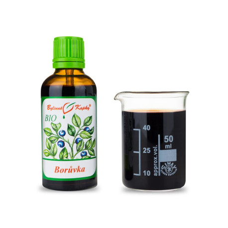 Heidelbeere Beeren BIO Tropfen (Tinktur) 50 ml