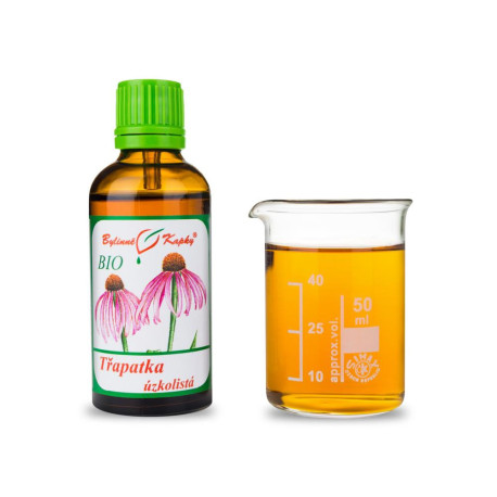 Echinacea schmalblättrige BIO Tropfen (Tinktur) 50 ml