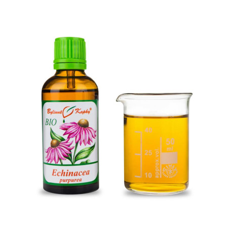 Echinacea lila BIO Tropfen (Tinktur) 50 ml